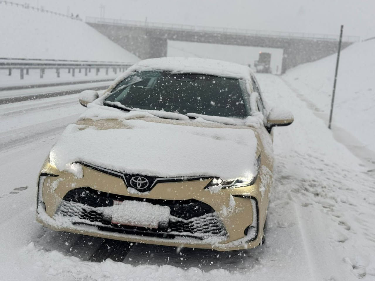 تويتا كرؤلا 2025 مواسەفات hev تاکسی 
ته جميع سيني مانگي ١٠ 
تايه ده نلوپ 
ته نها معامه لاتم پي كردوه 
٢ هه زار رويشتووه
 حسابكه صفره تازه ره قه م
 له زگه م به ستاوه 
فول فوله ده عامي بؤ ده عامي به شه رت 
ره قه م هه وليره 

سعر لە کۆمێنت داوابکە ڕاستەخۆ بۆت دیت 📩 

گیرومەکینە بەشەرت زۆربەجوانی پاکی ماوە هیچ خەلەلیکی تیدا نییە 
شوين هه ولير 

ژمارەی خاوەنی 
***********
