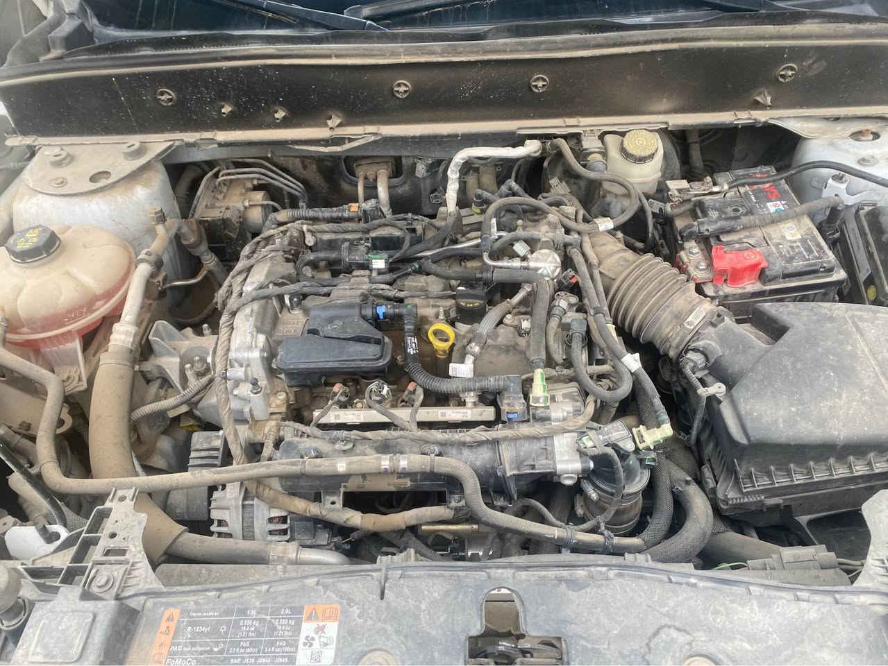 فرۆشتنی خێرا 
فۆرد برۆنکۆ مۆدیل ٢٠٢١ دەبل اکسل  مکینە V3  مواسفات بیگ بیند  گیر ماوس و شاشە و رادار و ئۆتۆ هۆلد و برێک بەسمە و  سوکان فۆلیوم و لایت زینون بیلادی و لایت زەترک  سپێری دانەبەزیوە تەنها ٤٠ هەزار مایل رۆییە گیر و مکینە و کارەبایات بەشەرت رەقەم و سەنەوی نوێیە هەتا ٢٠٢٩ سیارەکە پارچەک و دوو پەلەی بچوکی سبوغە بەبێ ژۆرێ  رەقەم شانسیم دانایە نرخی تەنها ١٢٩ وەرەقە و کەمیک مجال شوین هەولیر *********** أربيل, العراق
