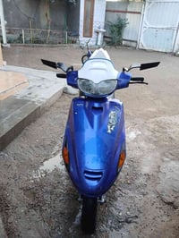 فراشة • فحل • نضيفه