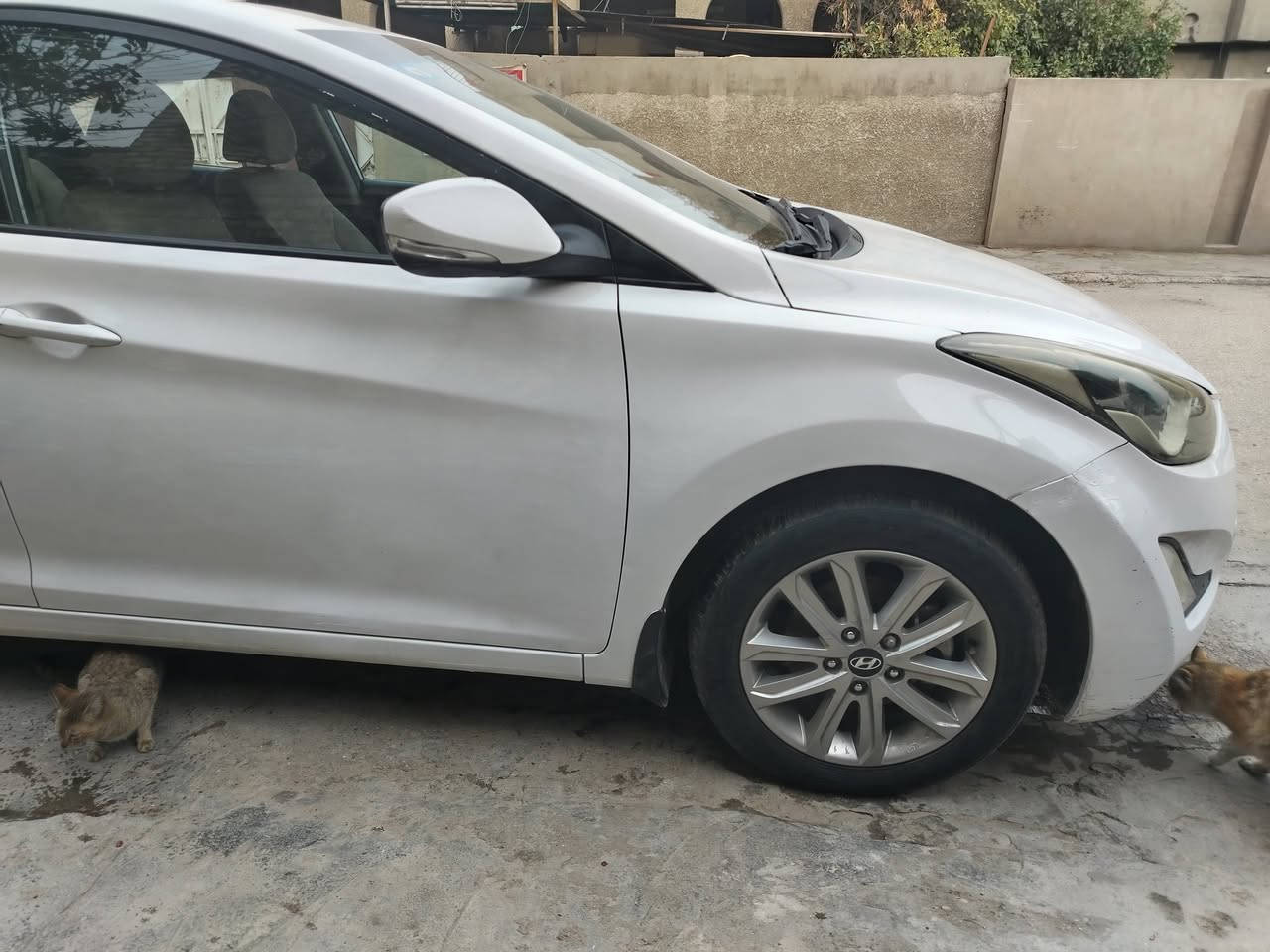 السلا م عليكم اللنترا موديل 16 خليجي فول مواصفات ماعدا البصمه تبريد تدفئه كير محرك كفاله سونارها وياها كلشي موضوح كدامك العنوان دورة شارع 60  سنويه تنتهي عام 31   سعر 119 رقم الهاتف ***********
