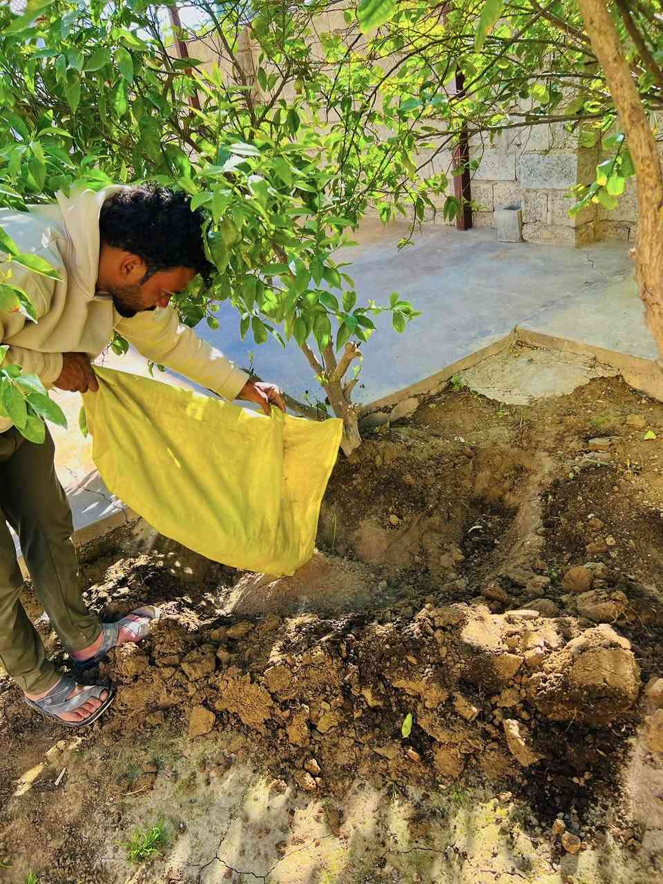 ⛔️متفرق حاليا ⛔️يوجد كادر فرش زميج زراعة حدائق تغليم اشجار  تزكي بساتين وتخليلهن درج مثل ما واضح بلصور تصل وتدلل ***********
