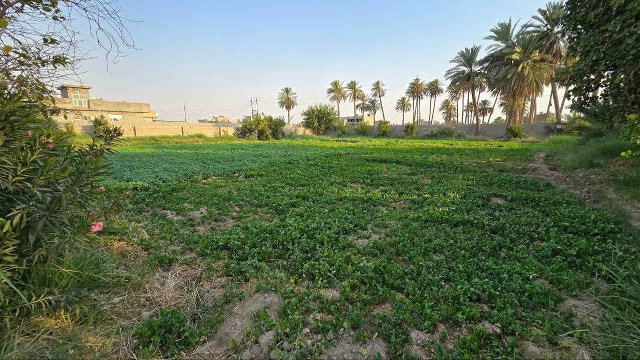 للبيع قطعة أرض زراعية مميزة ٤ - ديالى / ناحية كنعان
قطعة أرض بموقع راقي وهادي، تبعد بس ٤٠٠ متر عن الشارع العام، مساحتها ٣٨٠٠ متر مربع، وتصلح لمزرعة أو استراحة زراعية
تفاصيل الأرض:
• الموقع: ديالى - ناحية كنعان
المساحة: ٣٨٠٠ متر
المسافة من الشارع العام: ٤٠٠ متر
'امامها نهر وشارع مبلط
توصلها مي وكدرت توصلها كهرباء
سند زراعي 25
* طبيعة حلوة وموقع مثالي لعشاق الهدوء والزراعة
للاستفسار والمعاينة: ***********
