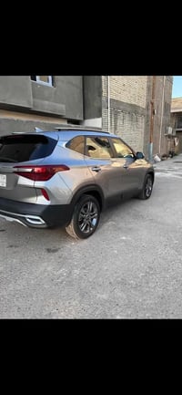 سيلتوس • ٢٠٢٣ • مجال بسيط