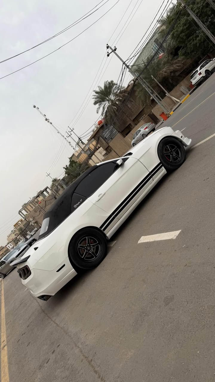 سلام عليكم وينه اليكول ماكول سيارات نضيفه رخيصه شوفولي هاي لعابه ورقم دولي وجاهزه وسعر اكسنت 

موستنك 2013 v6/3.700 رقم بغداد الجديد باسمي مداور ثاني يوم السياره حادثه جاملغ وبنيد جهة الصدر ومصبوغه حزام اثر طخطخات خفيفه وذني كلش عادي بيهن الحزام بس السياره كاعده وبالحقيقه بعد احله ماشيه  136 مايل المكينه والكير كفاله 
الاضافات /
دوشمه بريميوم جلد ابيض واسود ونضيفه حيل💣
داخل مغطس كاربون فايبر 💣
دعاميات GT💣
لحية RTR💣
شباك روش 💣
دفيوزر روش 💣
لايتات تحديث شكل 2018💣
بگلايت سموك 💣
سبويلر شيلبي 💣
عليه برمجه كت اوف وطلقات وملاعيب 💣
سعر السياره  103وبيه مجال 
مكاني كربلاء حي الحسين 
رجاءا الميعجبه سعر ويشوفه غاليه ليضل يشلع عوفه تولي نشالله تحصل اغاته وارخص منه بس لسقط بسياره واقره تفاصيل كامله بالمنشور مو تدخلي شنو تفاصيله ممتواجد ع نت قليل اتصل ع رقم 
السعر ١٠٣ ورقه وبيه مجال 
 *********** كربلاء, العراق
