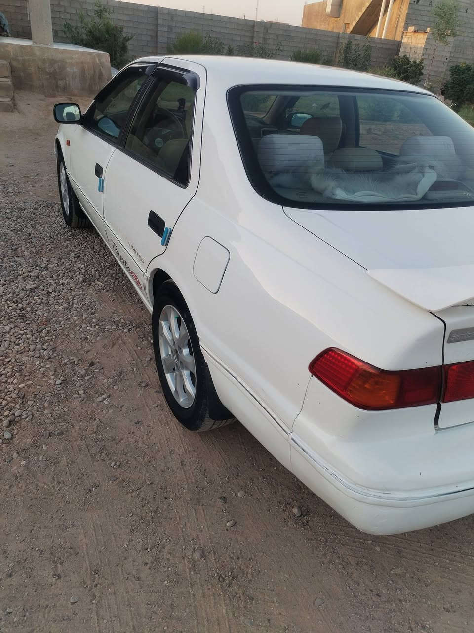 كامري للبيع 2001 بيها قطعتين رش فقط وبيها بارد قليل تبريد ثلج صدر جديد تاير امامي جديد خلفي نصف عمر تحويل مباشر ب اسمي سياره مال جناي مكان
 ناحية العظيم
  استفسار اكثر اتصل
***********
***********
