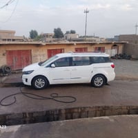 اللبيع اومراوس حسب القناعه07824969235#07709596260