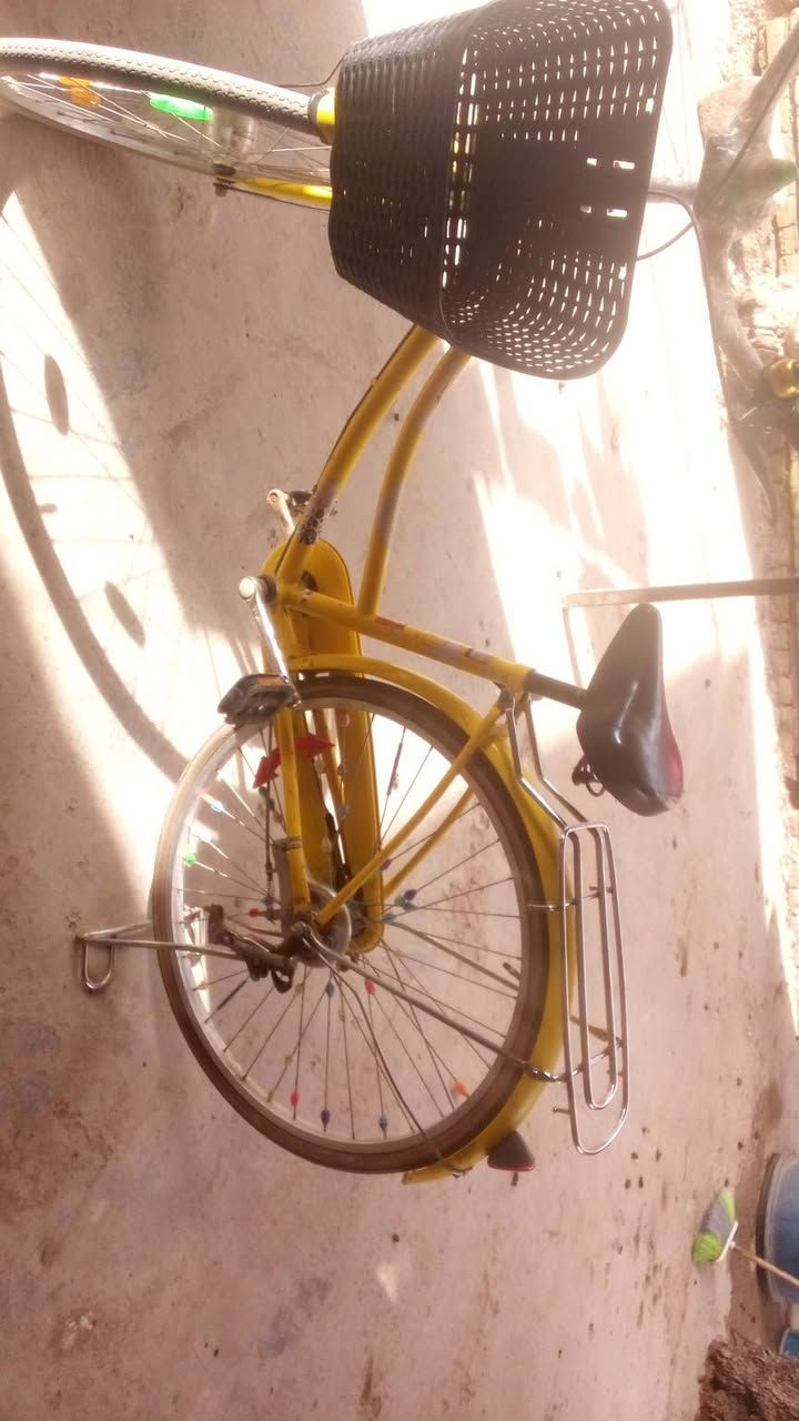 السلام عليكم بايسكل للبيع البايسكل نضيف ما بي اي شي بركيات كاملات مكاني بغداد حي اور للاستفسار ***********واتساب فقط

