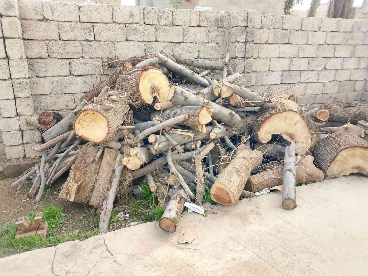 السلام عليكم يوجد خشب  گرامي حمل كيتين سعر الكيه200 وبي مجال***********
***********
