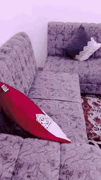 طخم للبيع سبع امتار السعر 225وبينو مجال الطخم جديد مستخدم فقط ثلاث اشهر 🌹العنوان موصل.. حي السماح الاولى


**إذا كنت صاحب هذا الإعلان وتريد حذفه لأي سبب، رجاءا أرسل رسالة إلى الدعم الفني**