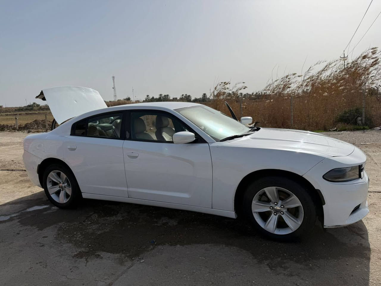 السلام عليكم
جارجر لون ابيض 

أربيل رقم دولي 

المودل 15 

تخم تاير جديد توه شاده 

تبريد 

حساس خلفي 

سياره بدي كلش حلو 

سياره 3 قطع تبديل ولباقي كفاله

سياره مرتبه حلوه مكان السياره ميسان رقم الهاتف بيه واتساب ***********
