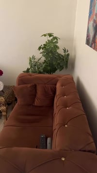 الدورة • ٨مقاعد • تخم