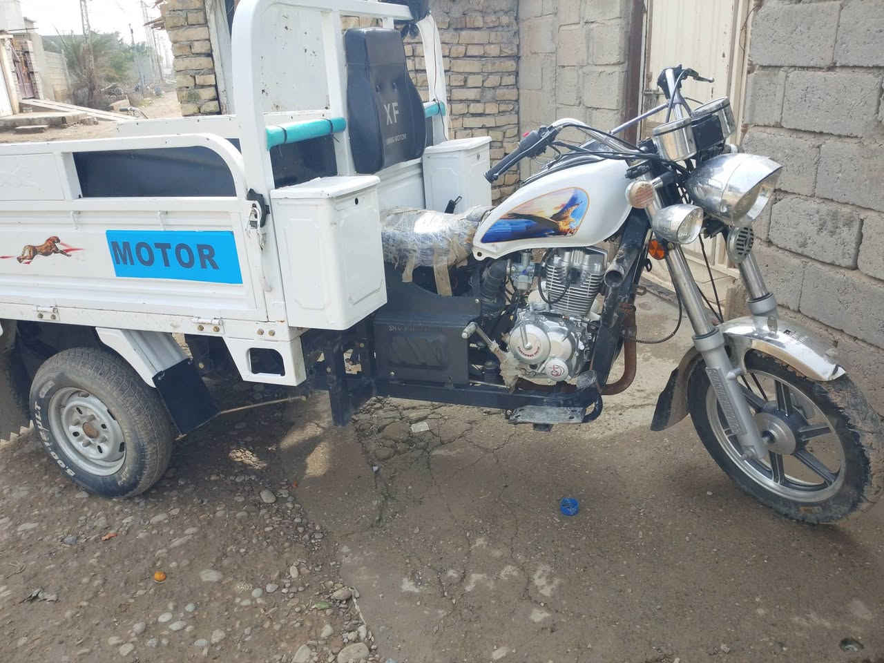 ستوته للبيع فحل ام الطير اوراق كامله موديل 24. السعر مليون 700 رقم بي وتساب ***********
