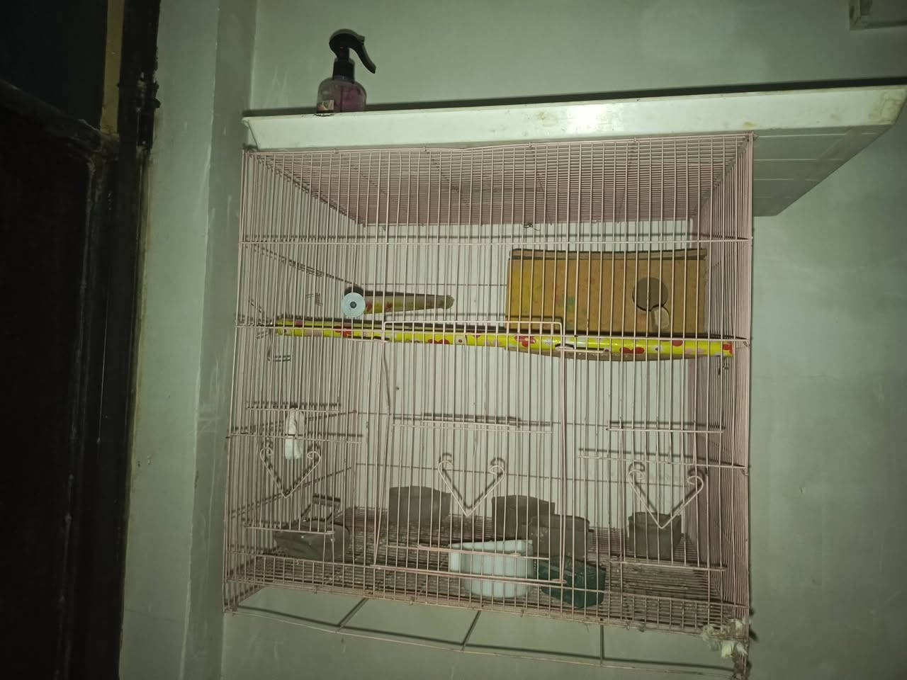 السلام عليكم قفاصة للبيع المكان الغزالية 
الاتصال للاستفسار على الرقم 
***********
