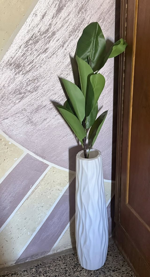 متوفر توصيل


**إذا كنت صاحب هذا الإعلان وتريد حذفه لأي سبب، رجاءا أرسل رسالة إلى الدعم الفني**