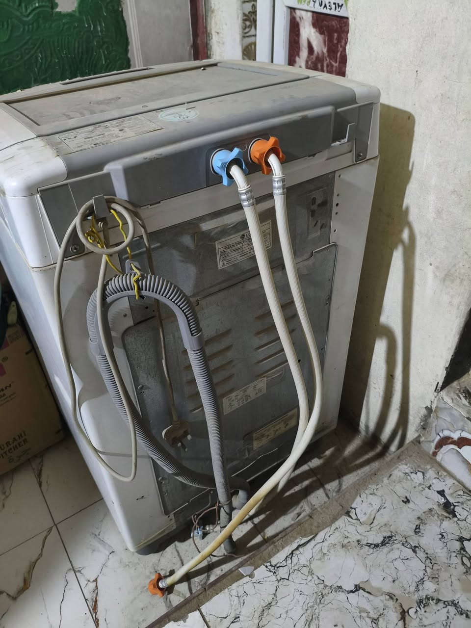 للبيع كلمن وسعره ***********

