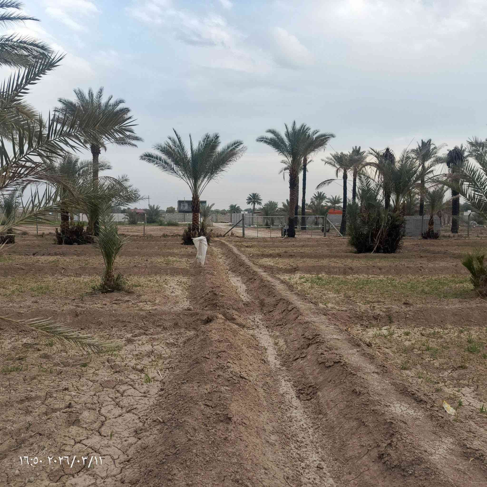 السلام عليكم 🏗️

عرض جدآ مناسب الى اصحاب الاستثمار و الترفيهه 🏡

المساحه :- دونم ( 2500 ) متر
الموقع :- المدائن _ منطقة باوي 
الوجه :- 52 متر 
عدد النخيل :- 42 
مسيج PRC بالكامل 
جنس الارض :- طابو مناصفه سند ( 25 ) 

الموقع مناسب لبناء شاليه او مزرعه او استثمار 📄

م :- السعر مناسب جدآ  ؟ 

للعرض والطلب والاستفسار ! 
مراسله خاص أو اتصال *********** 
متوفر واتساب ✅

بيع _ شراء _ تعقيب _ بناء 🏛️
