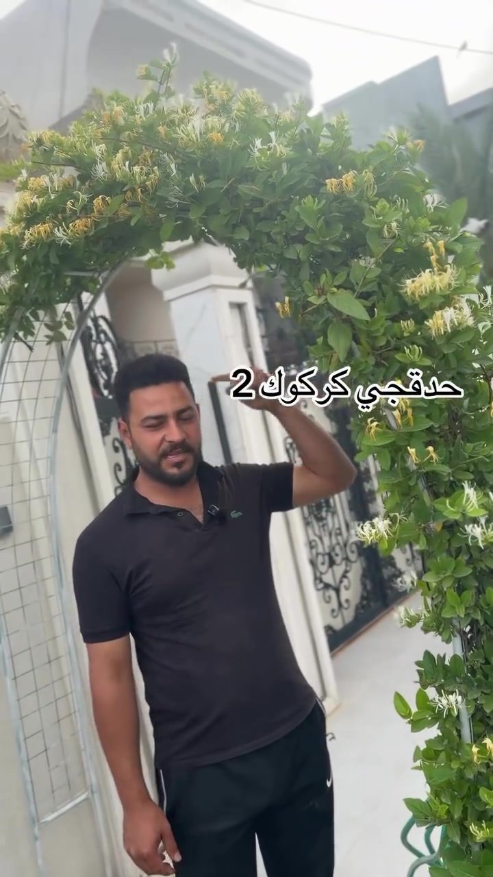 #حدقجي_كركوك


**إذا كنت صاحب هذا الإعلان وتريد حذفه لأي سبب، رجاءا أرسل رسالة إلى الدعم الفني**