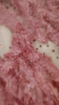 فستان • ق٣٦ • نظيف