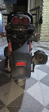 سكنس جبلي • موديل 14 • كلشي بلادي