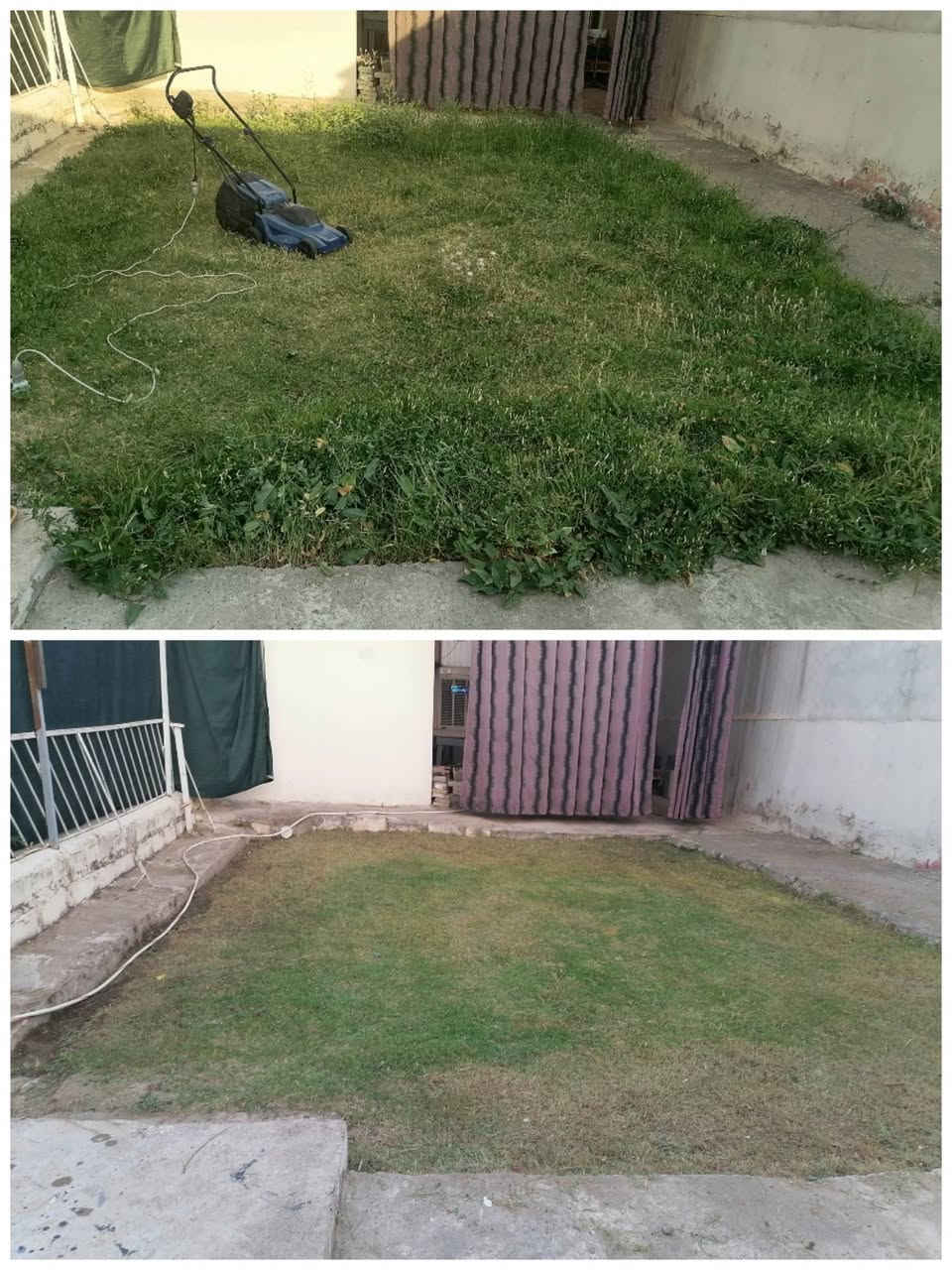 نشتغل حدائق تنضيف تقليم
زراعه ترتيب

تواصل خاص او وتساب

***********
