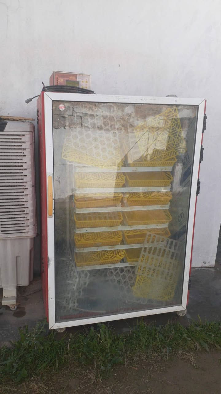 فقاسه للبيع ام 1000 بيضه
الاتصال ع رقم ***********
