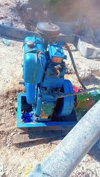 مطور • توب لاند • نظيف