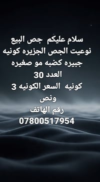رقم الهاتف 07800517954
