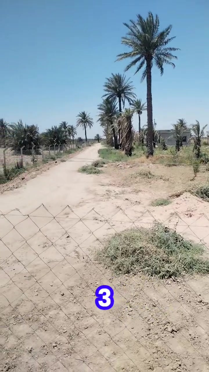 سلام عليكم يتوفر لدينا مزرعة ترفيهيه
مساحة ٣ دونم طابو زراعي سند ٢٥ عل طابو بعقوبه في ناحيه محمد سكران مقابل قريه خديدان طريق خان بني سعد /الراشديه
تحتوي على نخيل واشجار مثمره وبير ماء عدد٢ دار بناءحديث تستلم جاهز واجه الدونم ٧٣ ونزال ٢٩ تباع مفرد او كل المساحه تبعد عن كهرباء وتبليط ماء الأسأله ١٥٠م تقريبا
مسموح البناء فيها للأستفسار الاتصال على الرقم ***********
***********
مكتب العراق للاستثمار العقاري
