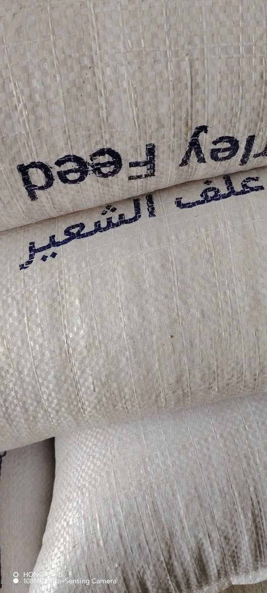 السلام عليكم ورحمة الله وبركاته

يعلن مكتب علي العيساوي 🏢 🏢

عن استيراد كميات من ##الشعير

المستورد الروسي العلفي

يستخدم في الطحن افظل بكثير من باقي

أنواع العلف

جمله ## ###مفرد

التوصيل مجاني 🆓 جميع المحافظات

العنوان بابل الكفل مقابل كراج بني مسلم

***********
*********** كرارالعيساوي
