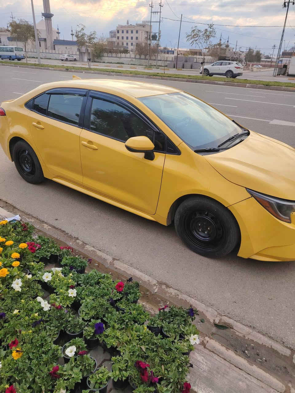 كورلا 2020 شرط التحويل مصفره هيئه وغرمات حجر ردار موجود ماشيه 122 الضرر جامرلغ وبنيد  وجامرلغ خلفي معجون بدون شواصي السعر 125 بي مجال بدون مراوس ابيع نقد ***********
