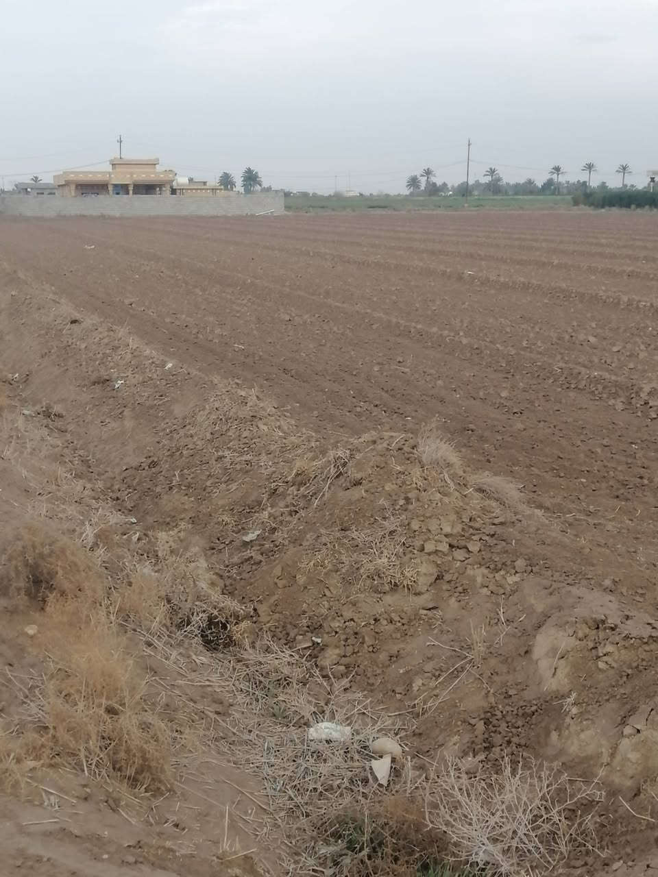 مكلف بالنشر 
السلام عليكم ورحمة الله وبركاته
أرض للبيع مساحتها 7 دوانم،
نوع العقد عقد 35 وجاري العمل على تجديده.
📍 العنوان الرضوانية  قرب ملعب الجوهره .
للاستفسار والتواصل:
📞 ***********
📞 ***********
**البيع مباشر من المالك
