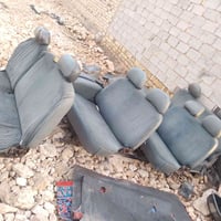 تخم كشنات للبيع 14نفر بيهن كلاب ستاركس سعر 200الف أبيه مجال رقم 078300...