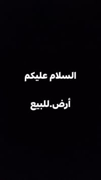 التحرير الحولي • ١٥٠م • خدمات كاملة