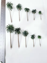 توفير نخل • نخل احترافي