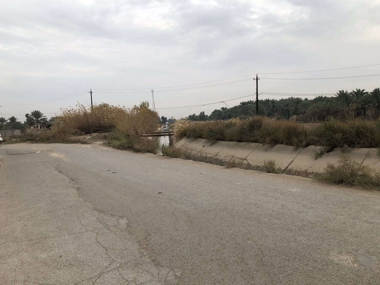 السلام عليكم من رخصه ادارة الكروب المحترم 

عندي مزرعة مساحته 1100 متر سند 25 على

طابو الزهور بسمي (( الواجه 33 / 35 نزال )) 

العنوان : بغداد / الراشدية / السوامره مجاور البحيره )

بيه مدخلين امامي على شارع تبليط 

ومدخل خلفي على فرع 

الخدمات / كهرباء وطني + سحب مولد + 

الماء بدون ماطور قوي + انترنيت + منظومة كامرات

                           👇🏻التفاصيل 👇🏻

تحتوي على {{ غرف عدد 3 مع كافه وسائل الراحه 

من سبالت ومبرده وثلاجة ومراوح وماطورات ماء 

+ مطبخ متكامل الخدمات وغراض الشوي 

+ مجمع صحيات شرقي وغربي متكامل 

العاب اطفال ترفيه + كعدات استراحه 

خارجيه + اقفاص مال محميات للحيوانات والدواجن

منظومة مرشات سقي للارض 

السعر ب 180 مليون وقابل للتفاوض 

رقمي ***********  

[[ مصوره فديوات واضحه + صور + موقع المزرعه 

منطقه متكاملة الخدمات ]]
