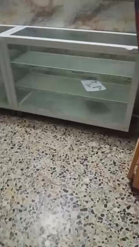 سلام عليكم غراض اسواق جديدات ستخدمناهن شهر وصا عدنه ضرف وعزلنه لاسواق رفوف صاج خشب 6واحديد 10الميوسه جديدات والله3ميوزه والمبرده 3500  (***********)
