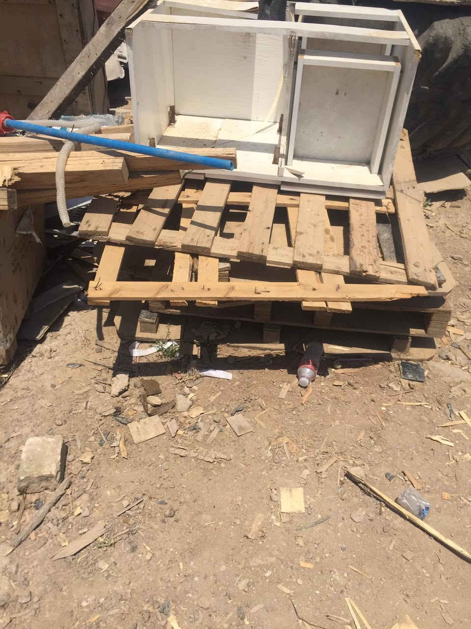 حطب مال شوي سمج للبيع مكاني بغداد


**إذا كنت صاحب هذا الإعلان وتريد حذفه لأي سبب، رجاءا أرسل رسالة إلى الدعم الفني**
