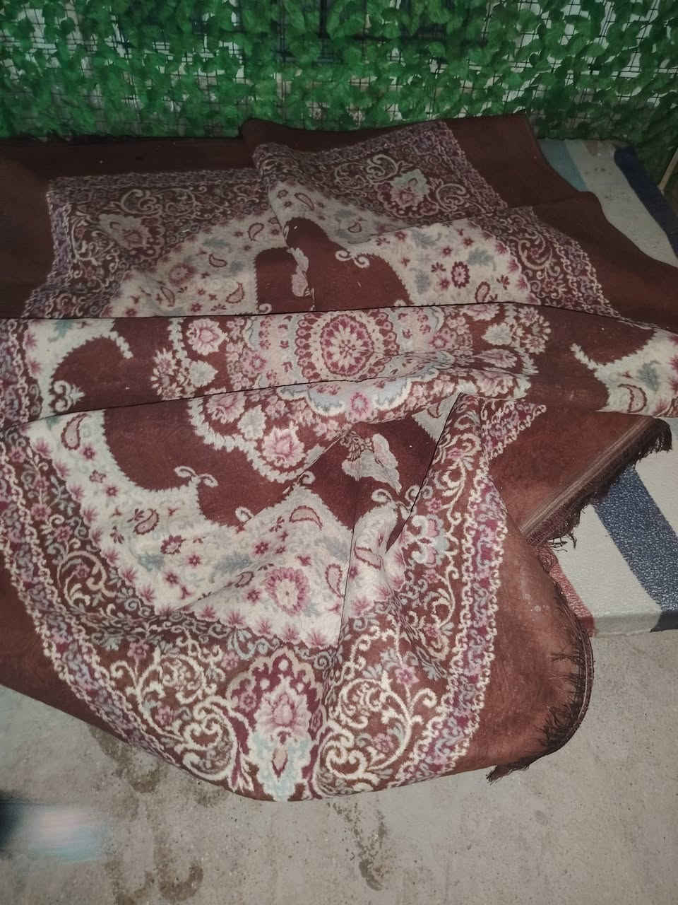 مكلف بنشر بسعر مناسب


**إذا كنت صاحب هذا الإعلان وتريد حذفه لأي سبب، رجاءا أرسل رسالة إلى الدعم الفني**