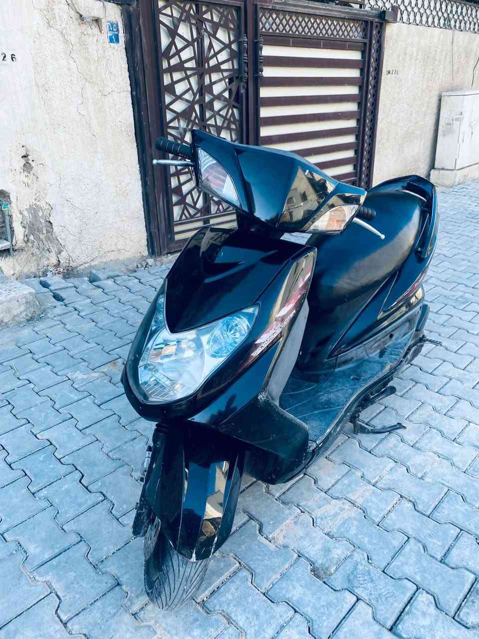 السلام عليكم سكنس فحل دراجه بلاديه تخبل كامله مابيه نقص رايده 600 وبيه مجال بسيط مكاني بغداد اعظميه ***********
