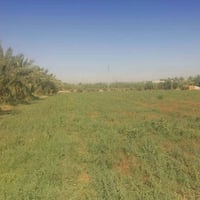 دونم • فرع المصلخ • عقد زراعي