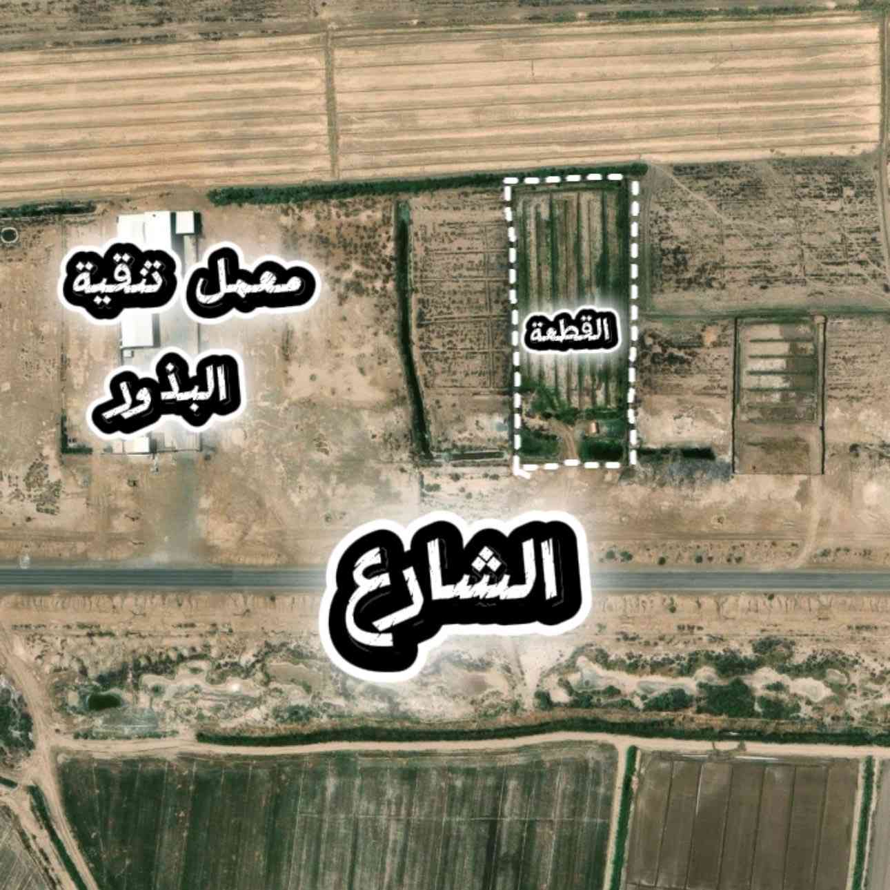 قطعة ارض المساحة( 1 )دونم  قريب على الشارع الصيني بجانب معمل تنقية البذور طابو (٢٥) يتحول بأسمك مباشرة (حق التصرف) مسيجة سياج BRC درجة اولى مدفونة ومزروعة نخل واشجار ولها حصه مائية وجه شارع الرئيسي المؤدي الى الصويرة. //ملاحظة دونم واحد موجود // مساحة وجه (23 ونص)
ونزال (108)وفيه بير ماء
واسط /الزبيدية
للاستفسار الاتصال :
***********
