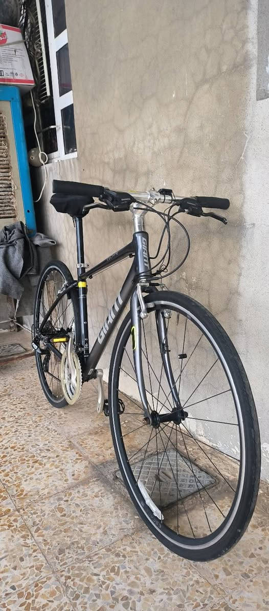 جاينت  نضيف ابلادي بعد احله من الصوره  شراي يجي خاص مكاني موصل ايسر والعندو رود مرتب نتراوس ونطي فرق حسب الاتفاق


**إذا كنت صاحب هذا الإعلان وتريد حذفه لأي سبب، رجاءا أرسل رسالة إلى الدعم الفني**