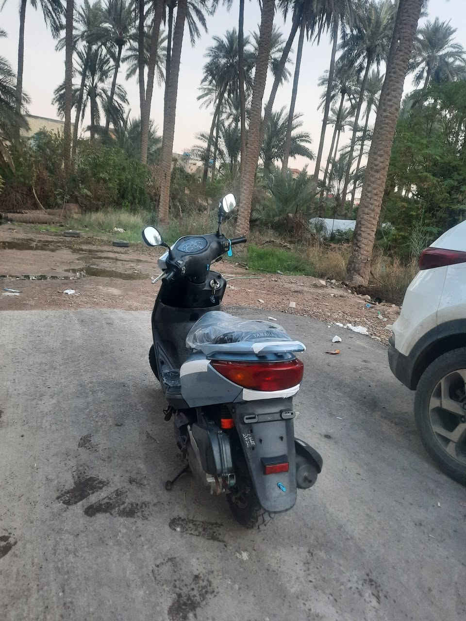 سلام عليكم دراجه بريز لايت عالي كابريته دراجه مال رمبه دراجه مصار شهر من اخذتها دراجه خير من الله دراجه برغي مامفتوح بيه دراجه سلف وهندر كفاله عامه كهربائية شغاله مابيهه اي نقص افحص وخذ دراجه تعجبك ما تعجبك لا تأخذه جيب وياك عشر مصلحين الاستفسارات اكثر خاص *********** واتساب فقط
