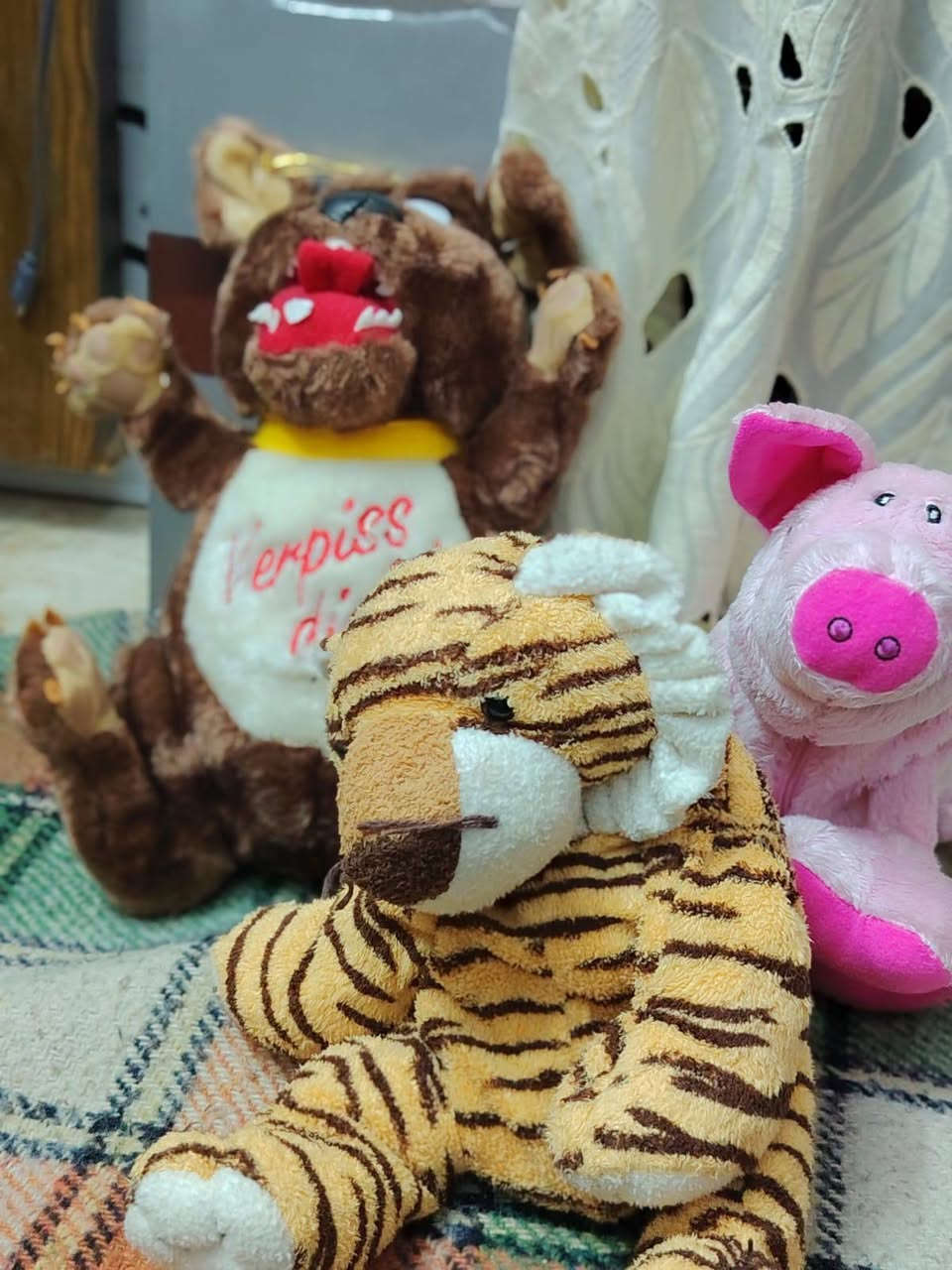 للبيع


**إذا كنت صاحب هذا الإعلان وتريد حذفه لأي سبب، رجاءا أرسل رسالة إلى الدعم الفني**