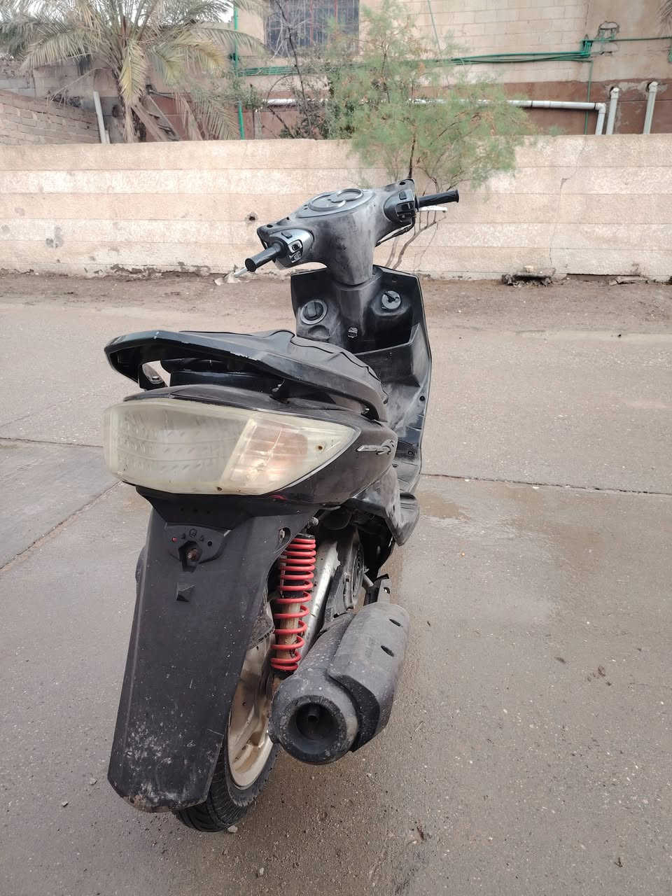 السلام عليكم سكنس فحل ياباني دراجه ما مفتوحه جيب فيتر وفحص دراجه بلاديه تخبل سعر 800 وبيها مجال  مكاني ابو الخصيب الاسمده شراي يجي وساب
***********
