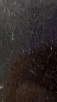 السعر جدا مناسب توجد غرفه نوم توج خشب عراقي لون ابيض صبغ حراري السعر 650
وبيها مجال بسيط العنوان الرمانه منطقة البوعبيد للاستفسار *********** ادمن وافق
