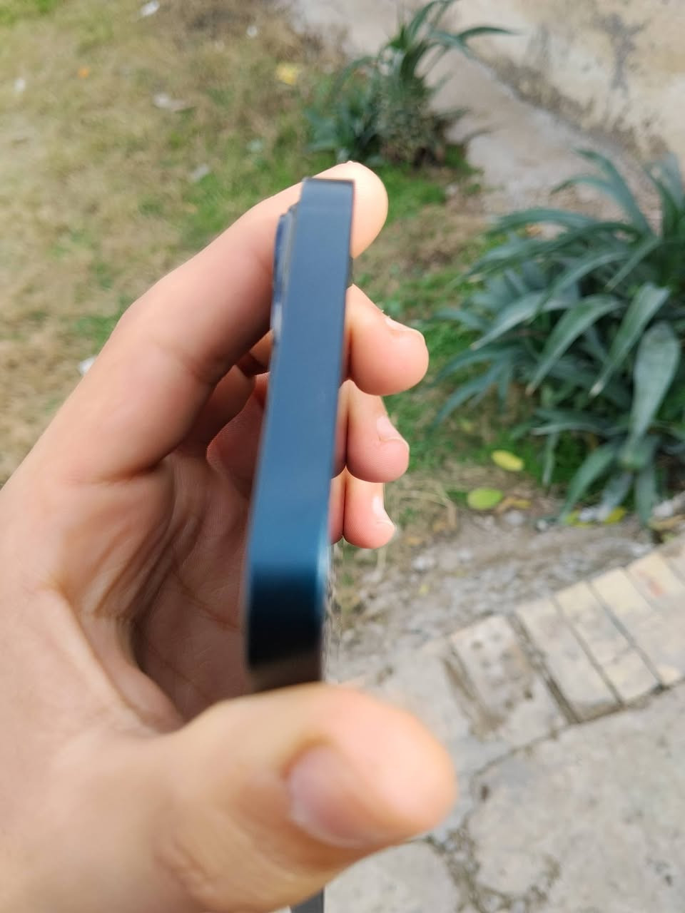 مراوس ب13برو ماكس


**إذا كنت صاحب هذا الإعلان وتريد حذفه لأي سبب، رجاءا أرسل رسالة إلى الدعم الفني**