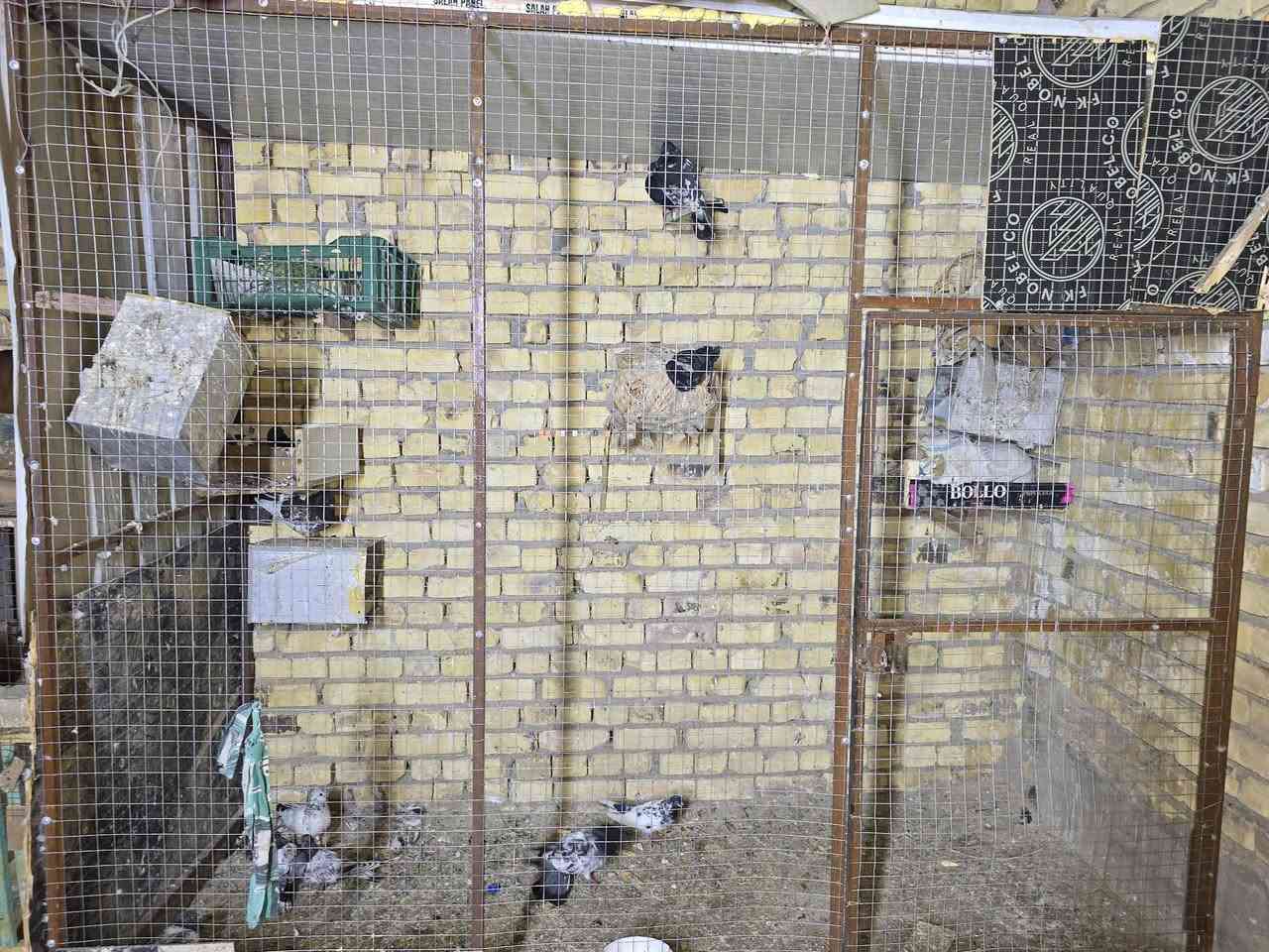 طول مترين 2رتفاع مترين 2العراض متر 1حديد


**إذا كنت صاحب هذا الإعلان وتريد حذفه لأي سبب، رجاءا أرسل رسالة إلى الدعم الفني**