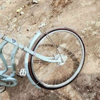 باسكل بناتي • حجم ٢٤ • جبلية