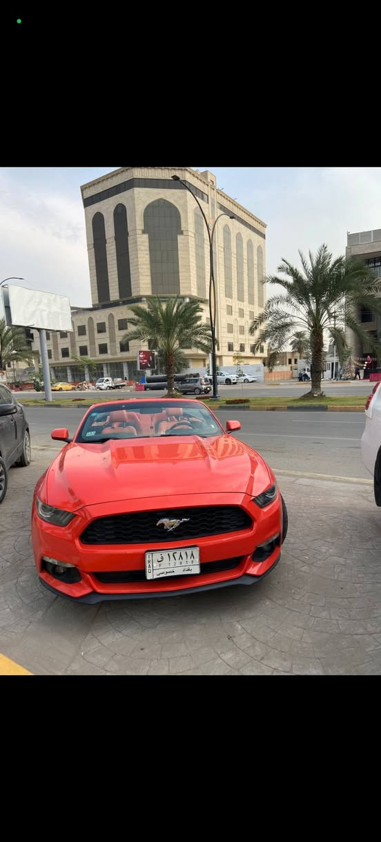 MUSTANG
موستنك 🐎 كشف 2015 برتقالي مميز 🍊

V6 سلندر & 3700

سيارة داخلة كلين تايتل (بالعراق صار بيها جاملغ خلف السايق فقط) 

كير محرك اكسل شركة برغي ما مفتوح بيهة

سيارة مكفول كفالة عامة 

ماشية 50 ميل 

للاستفسار اكثر اتصال على هذا الرقم

*********** 

مكان السيارة بغداد
